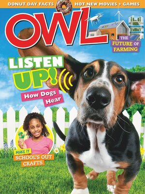 cover image of OWL